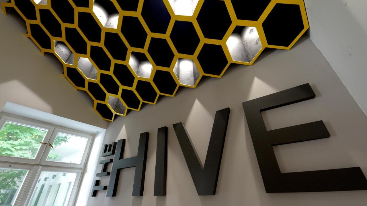 Hostel The Hive Party *